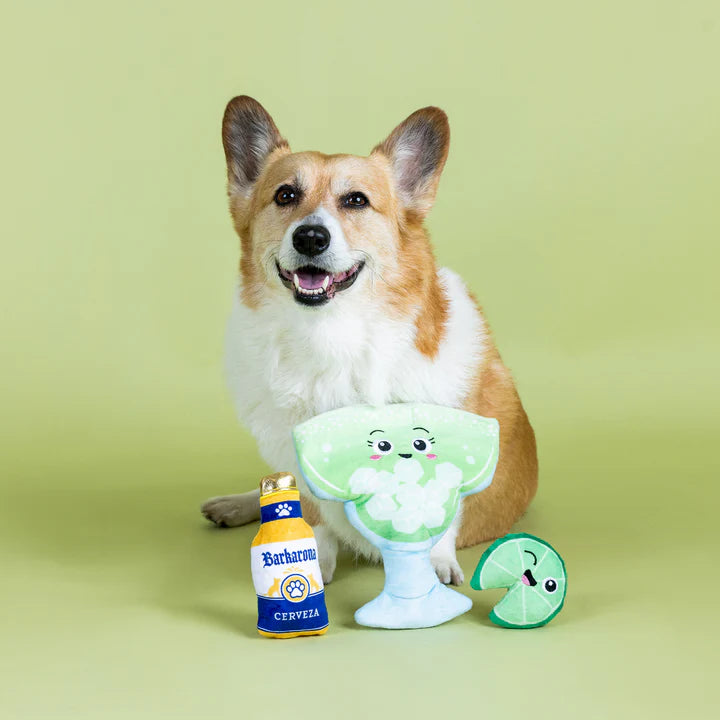 Drop Me a Lime Plush Dog Toy