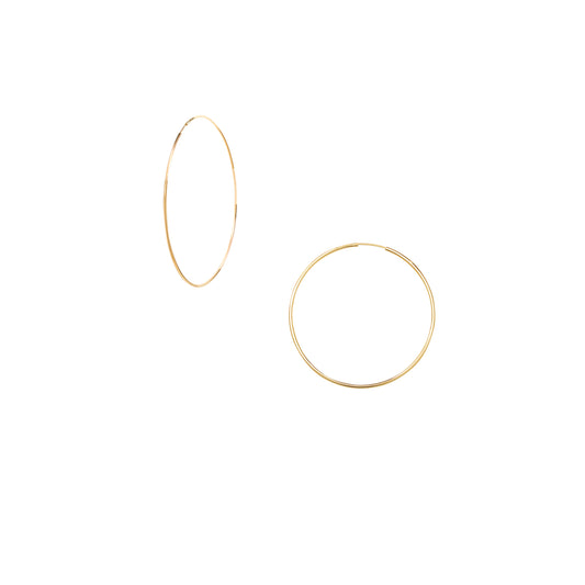 Endless Hoops